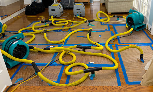 Professional Emergency Water Removal technician working in Hewitt, WI